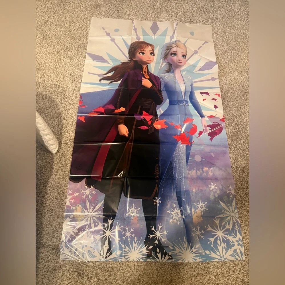 Frozen Themed Party Decorations and Supplies